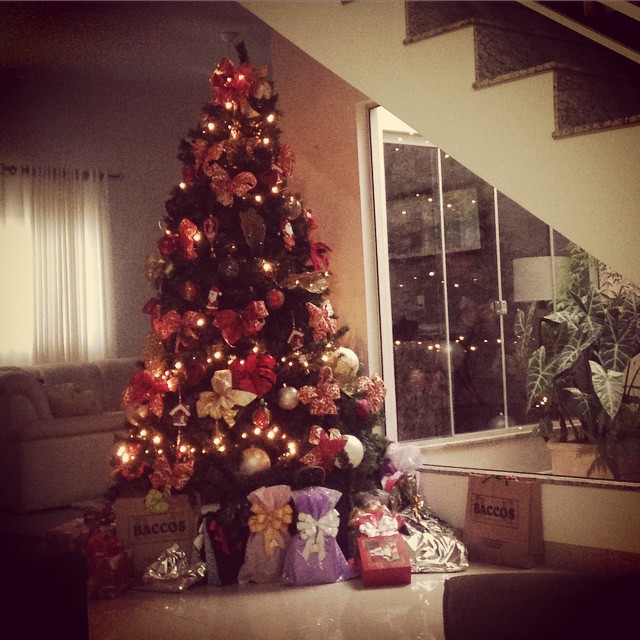 Já montou sua Árvore de Natal?
